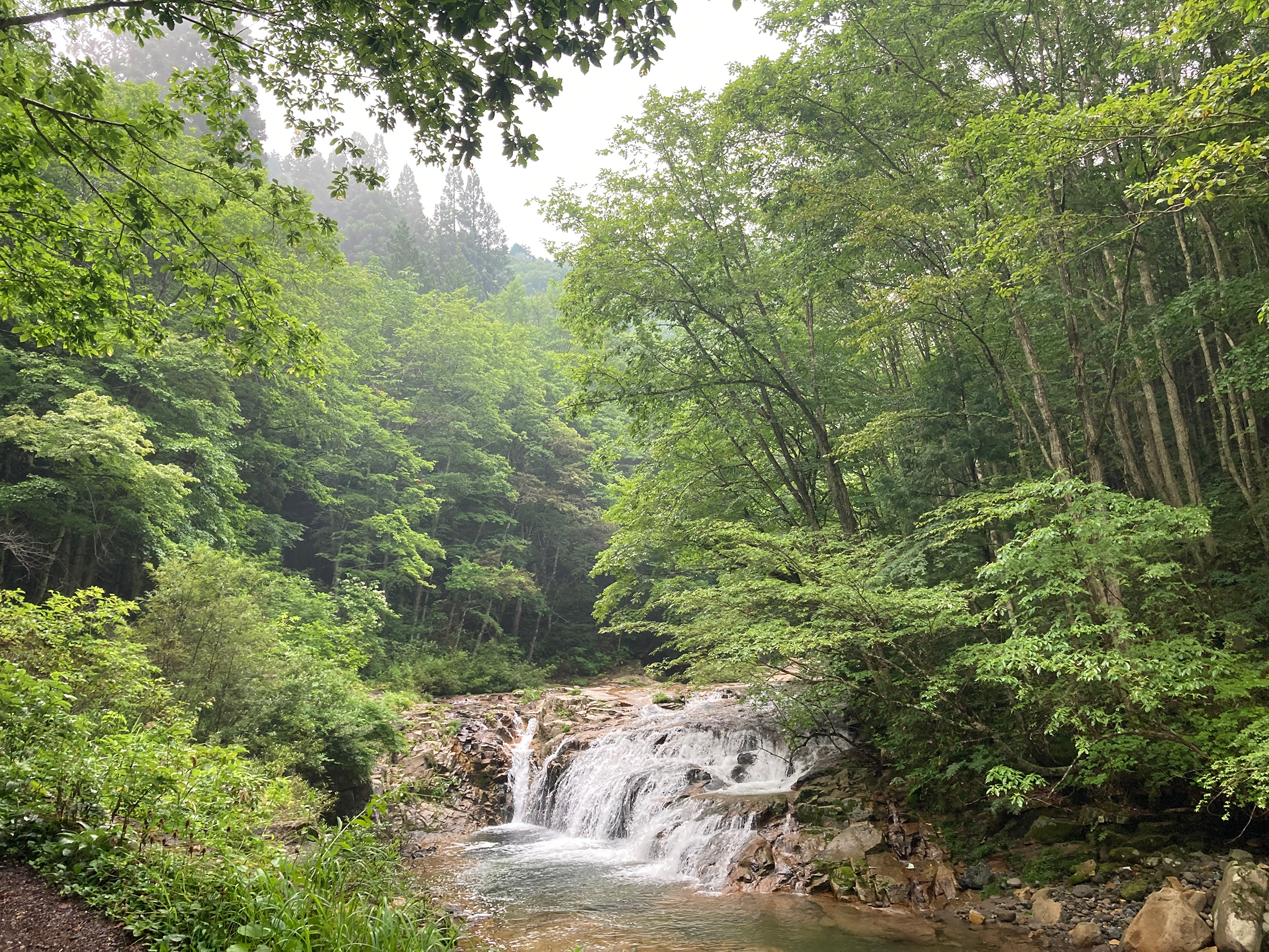 雉子舎について - 飛騨高山の無垢の家具工房